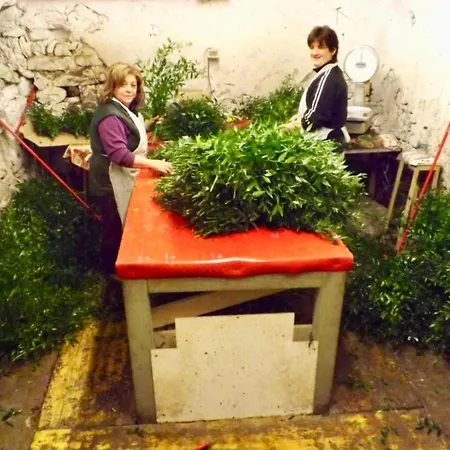 Casa Valentino In Via Liberale Sleeps 8 Italy アパート