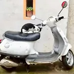 Casa Valentino In Via Liberale Sleeps 8 Italy Διαμέρισμα Isolabona