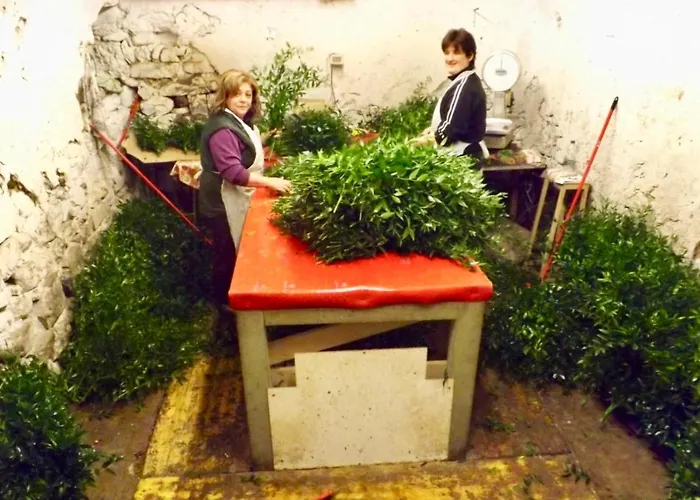 Casa Valentino In Via Liberale Sleeps 8 Italy Lejlighed